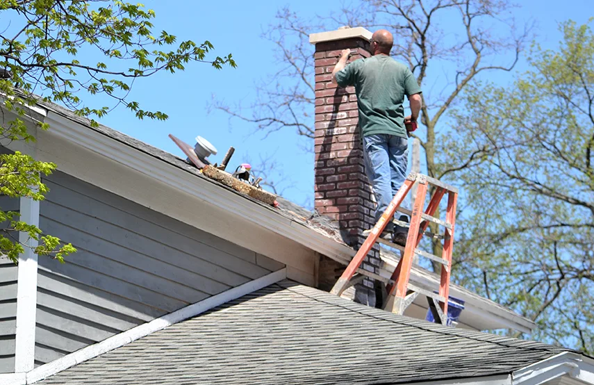 Chimney & Fireplace Inspections Services in Land O Lakes, FL